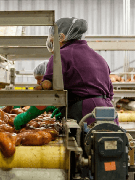 Electrical Mechanical & Chemical Hazards